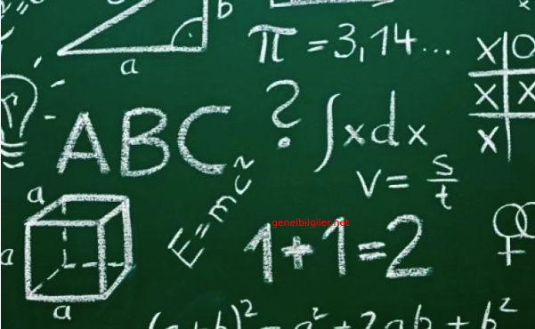 Matematik Hayatımızda Olmasaydı?